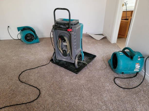 Best Sewage cleanup and water damage restoration  in Walworth, WI