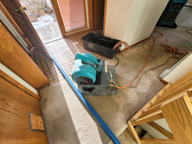 Best Basement water damage restoration  in Walworth, WI