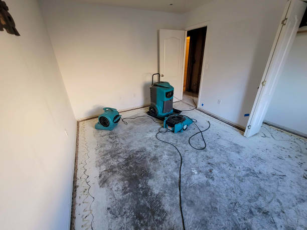 Best Mold removal after water damage  in Walworth, WI