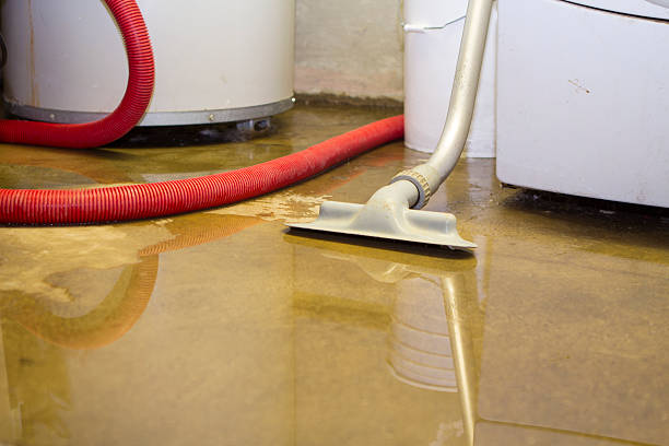 Best Ceiling water damage repair  in Walworth, WI
