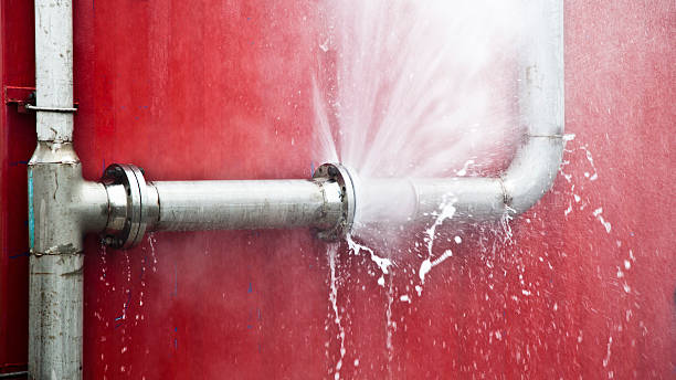 Best Carpet water damage restoration  in Walworth, WI