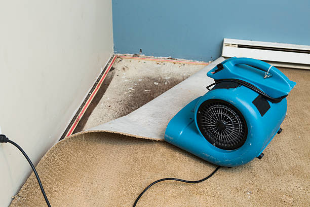 Best Water damage restoration cost  in Walworth, WI